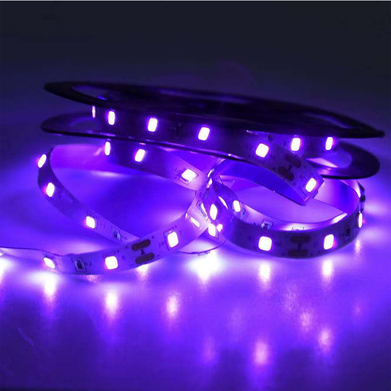 UV LED Ultraviolet Light, Blac - Uv Led Lamp Nail review and price